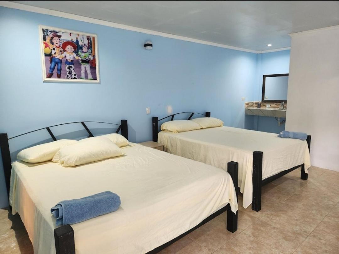 Wally World Inn Комаягуа Экстерьер фото